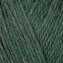 Load image into Gallery viewer, Ultra Wool DK