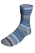 Load image into Gallery viewer, Berroco Sox
