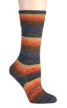 Load image into Gallery viewer, Berroco Sox