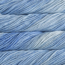 Load image into Gallery viewer, Malabrigo Chunky