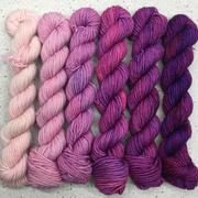 Load image into Gallery viewer, JuJubee Gradient Set