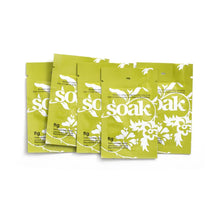 Load image into Gallery viewer, Soak Wash