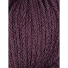 Load image into Gallery viewer, Falkland Worsted
